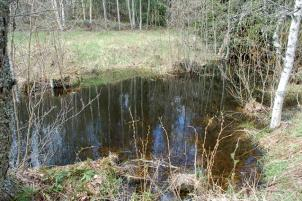 Den östra stranden har tidigare utgjorts av åkermark, vilket delvis gäller även för den västra stranden. På den östra sidan finns gles lövskog (asp-björk-al).