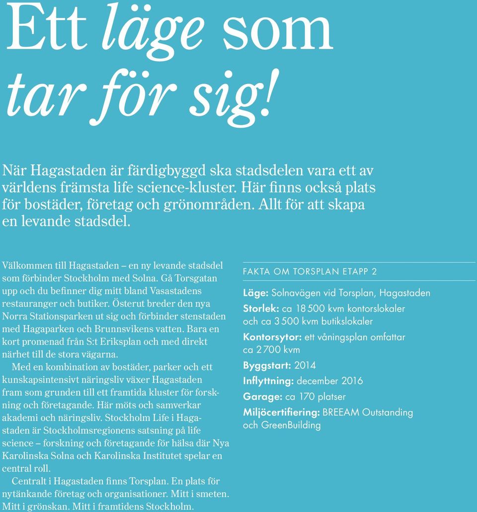 Gå Torsgatan upp och du befinner dig mitt bland Vasastadens restauranger och butiker.