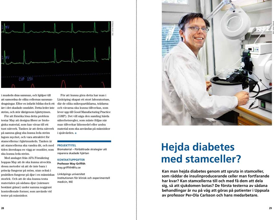 Tanken är att detta nätverk på samma gång ska kunna leda ström lagom mycket, och vara attraktivt för stamcellerna i hjärtmuskeln.