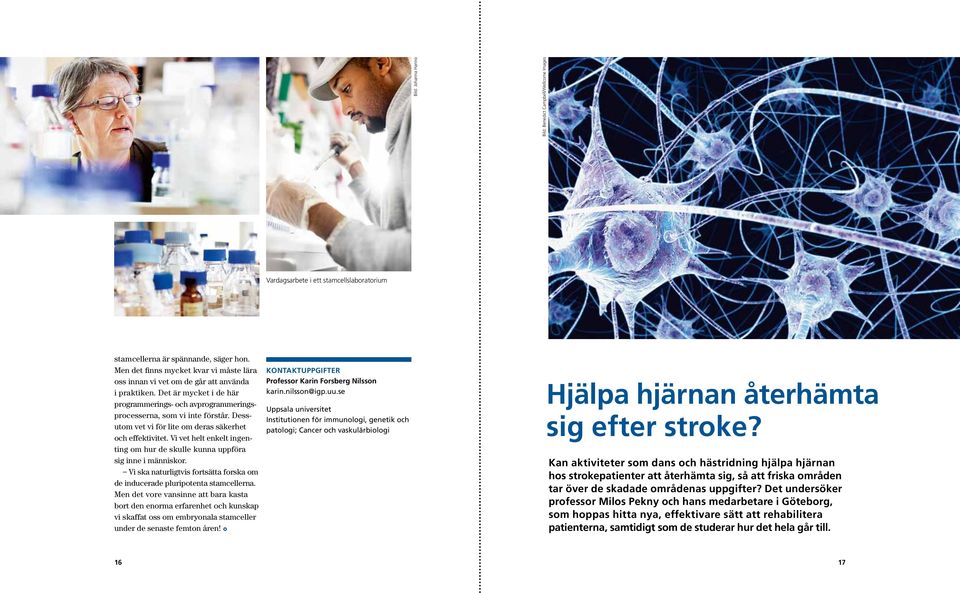 Dessutom vet vi för lite om deras säkerhet och effektivitet. Vi vet helt enkelt ingenting om hur de skulle kunna uppföra sig inne i människor.