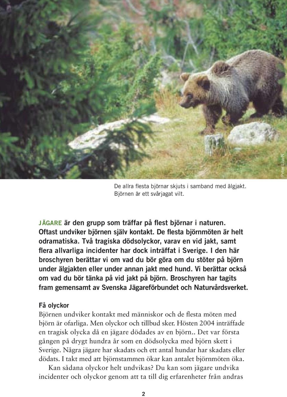 I den här broschyren berättar vi om vad du bör göra om du stöter på björn under älgjakten eller under annan jakt med hund. Vi berättar också om vad du bör tänka på vid jakt på björn.