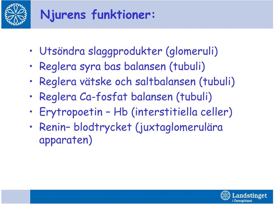 (tubuli) Reglera Ca-fosfat balansen (tubuli) Erytropoetin Hb