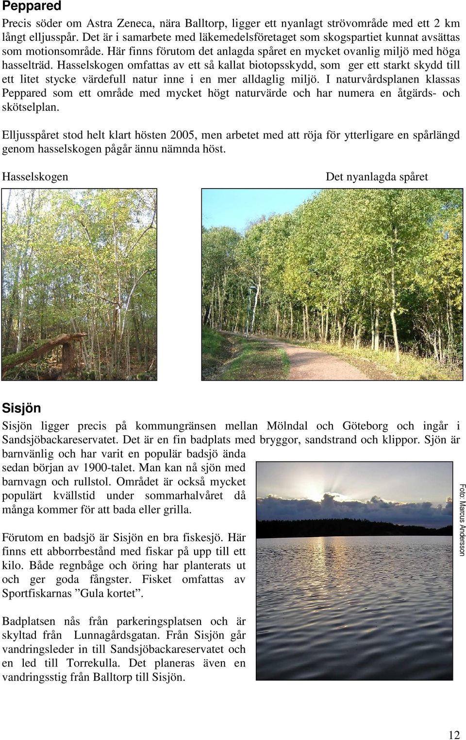 Hasselskogen omfattas av ett så kallat biotopsskydd, som ger ett starkt skydd till ett litet stycke värdefull natur inne i en mer alldaglig miljö.