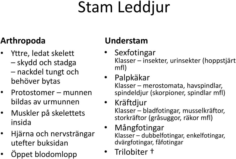 urinsekter (hoppstjärt mfl) Palpkäkar Klasser merostomata, havspindlar, spindeldjur (skorpioner, spindlar mfl) Kräftdjur Klasser