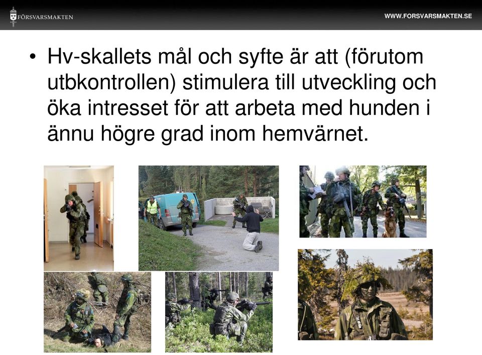 utveckling och öka intresset för att