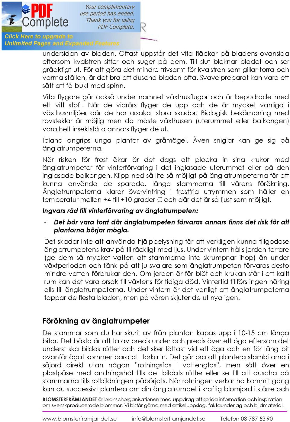 Vita flygare går också under namnet växthusflugor och är bepudrade med ett vitt stoft. När de vidrörs flyger de upp och de är mycket vanliga i växthusmiljöer där de har orsakat stora skador.