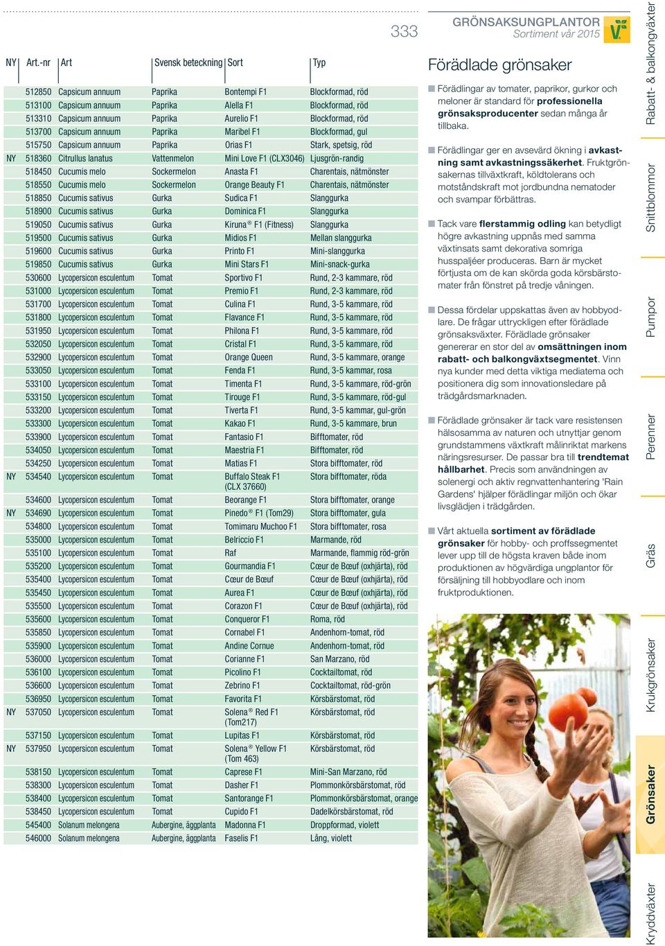Ljusgrön-randig 518450 Cucumis melo Sockermelon Anasta F1 Charentais, nätmönster 518550 Cucumis melo Sockermelon Orange Beauty F1 Charentais, nätmönster 518850 Cucumis sativus Gurka Sudica F1