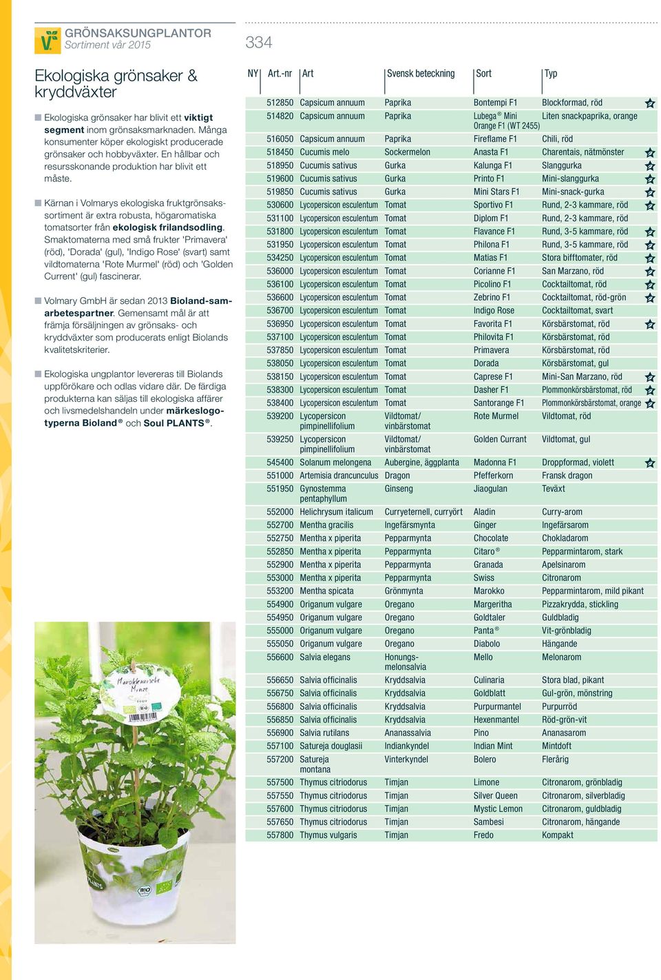 Kärnan i Volmarys ekologiska fruktgrönsakssortiment är extra robusta, högaromatiska tomatsorter från ekologisk frilandsodling.
