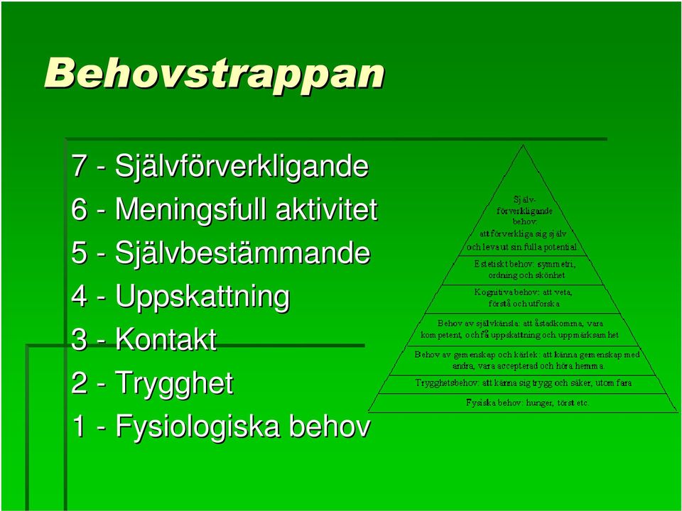 Självbestämmande 4 - Uppskattning 3 -