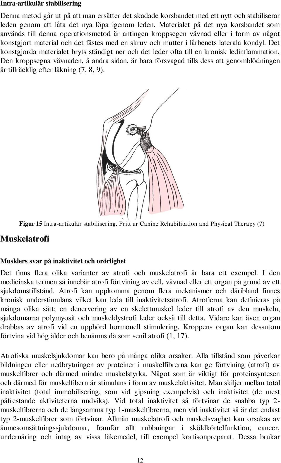 laterala kondyl. Det konstgjorda materialet bryts ständigt ner och det leder ofta till en kronisk ledinflammation.