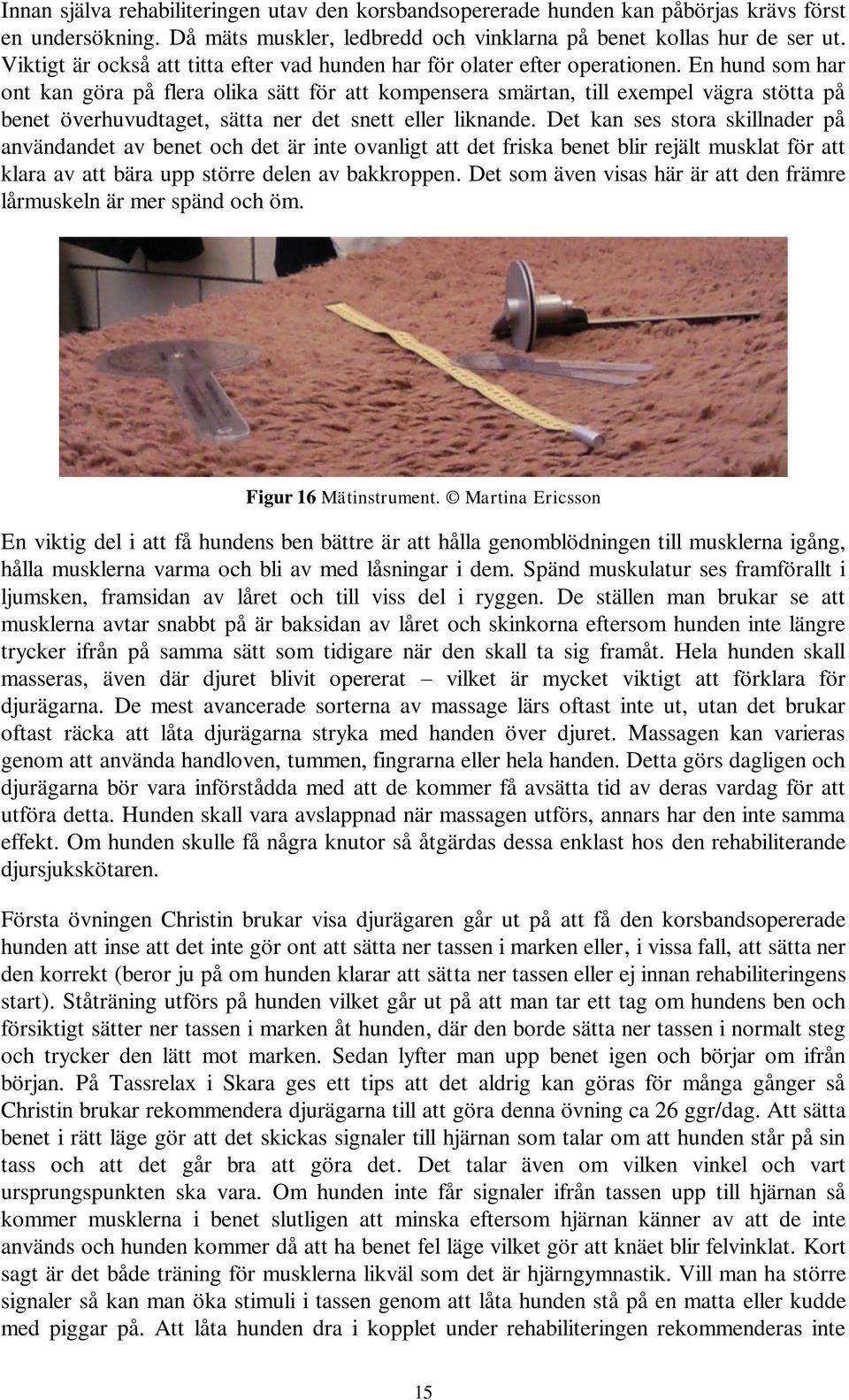 En hund som har ont kan göra på flera olika sätt för att kompensera smärtan, till exempel vägra stötta på benet överhuvudtaget, sätta ner det snett eller liknande.