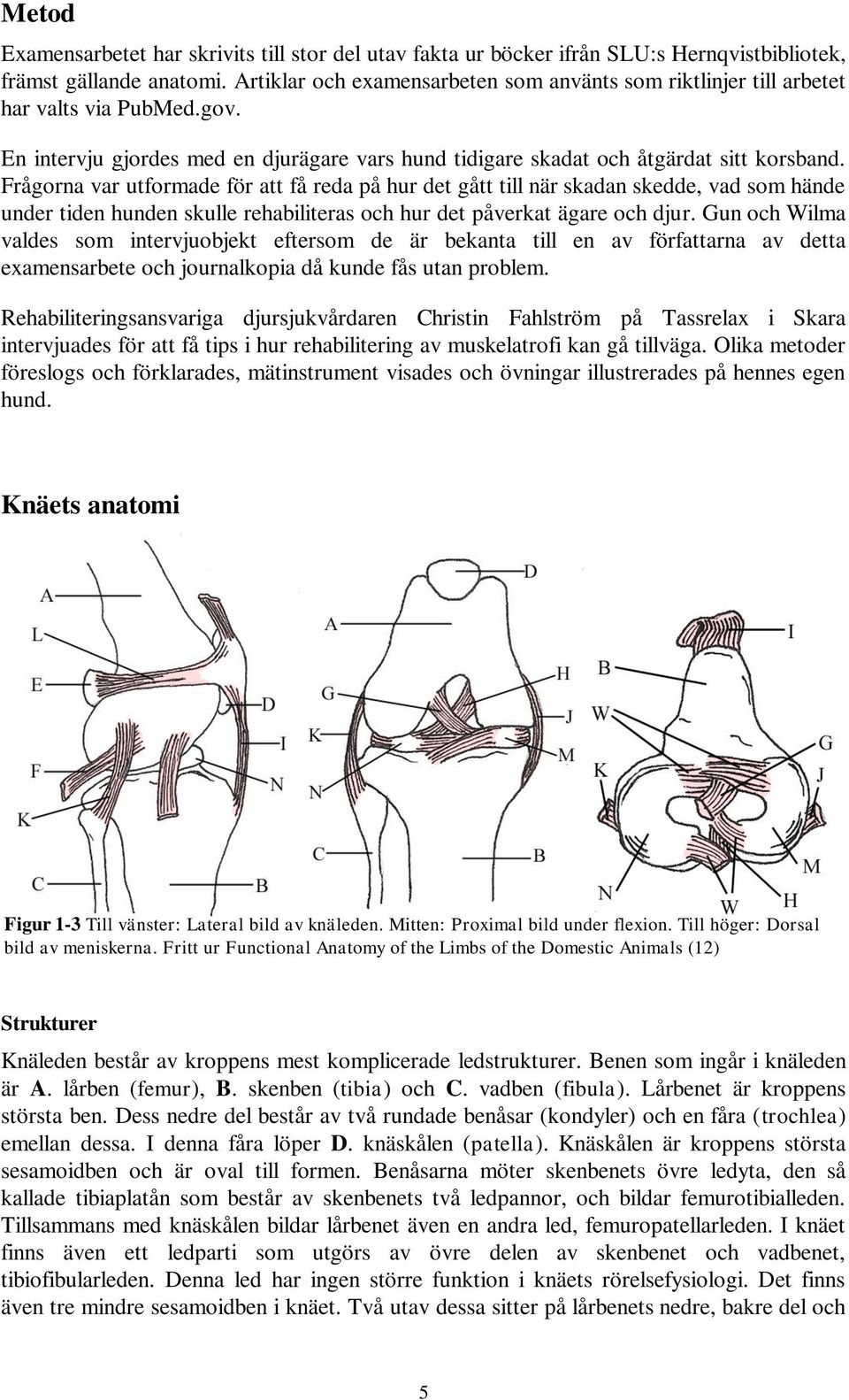 Frågorna var utformade för att få reda på hur det gått till när skadan skedde, vad som hände under tiden hunden skulle rehabiliteras och hur det påverkat ägare och djur.