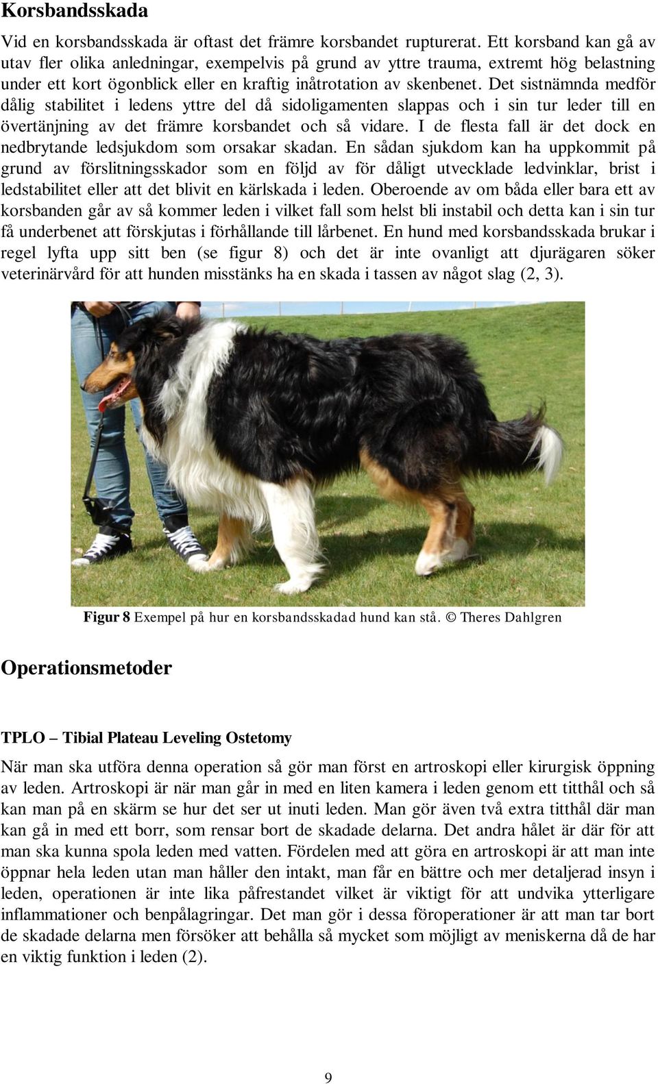Det sistnämnda medför dålig stabilitet i ledens yttre del då sidoligamenten slappas och i sin tur leder till en övertänjning av det främre korsbandet och så vidare.