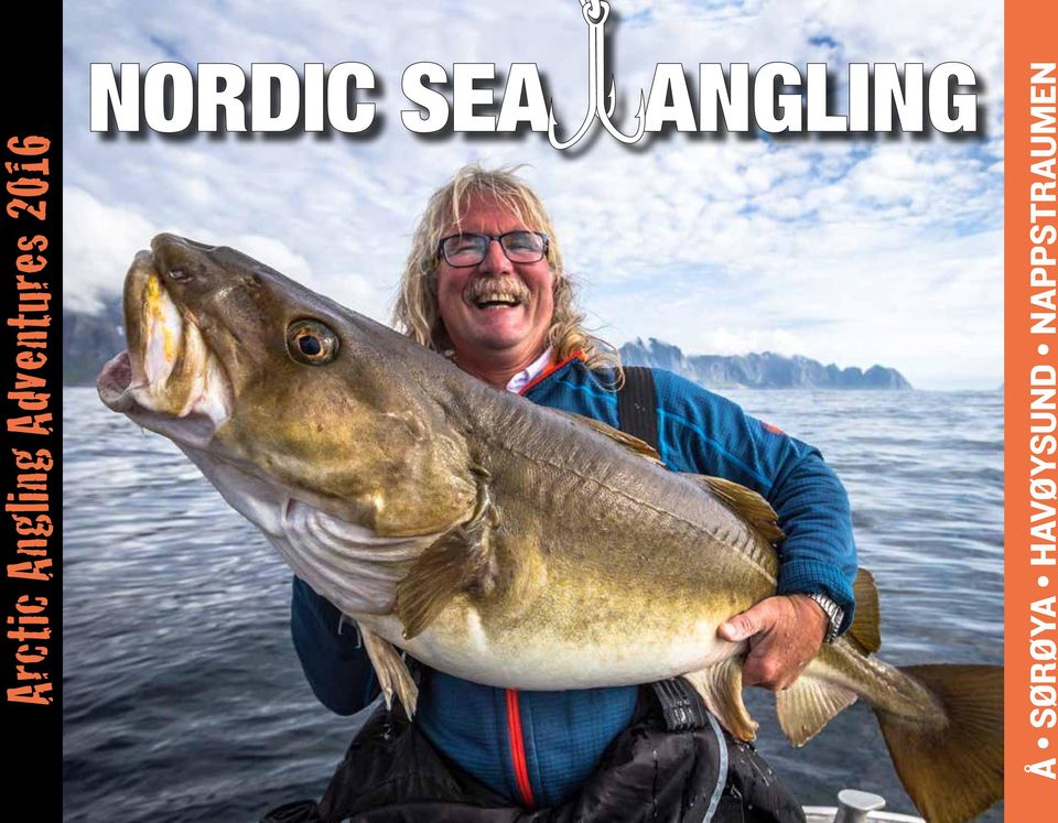 Å SØRØYA
