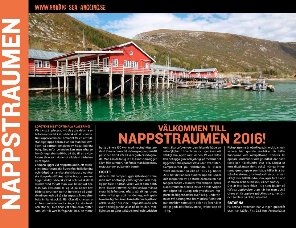 Nedanför verandan kan man ofta se havsöringar simma förbi, på väg till en av Lofotens älvar som rinner ut alldeles i närheten av campen.