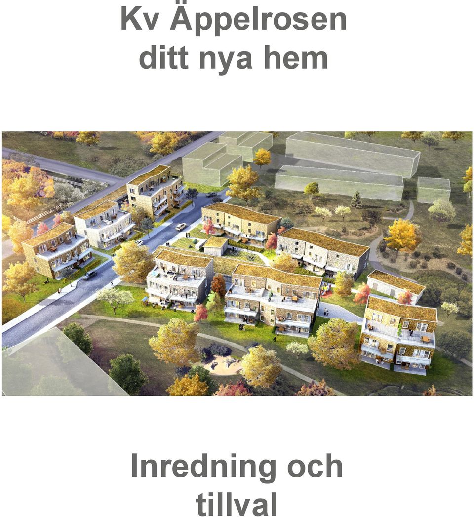 ditt nya