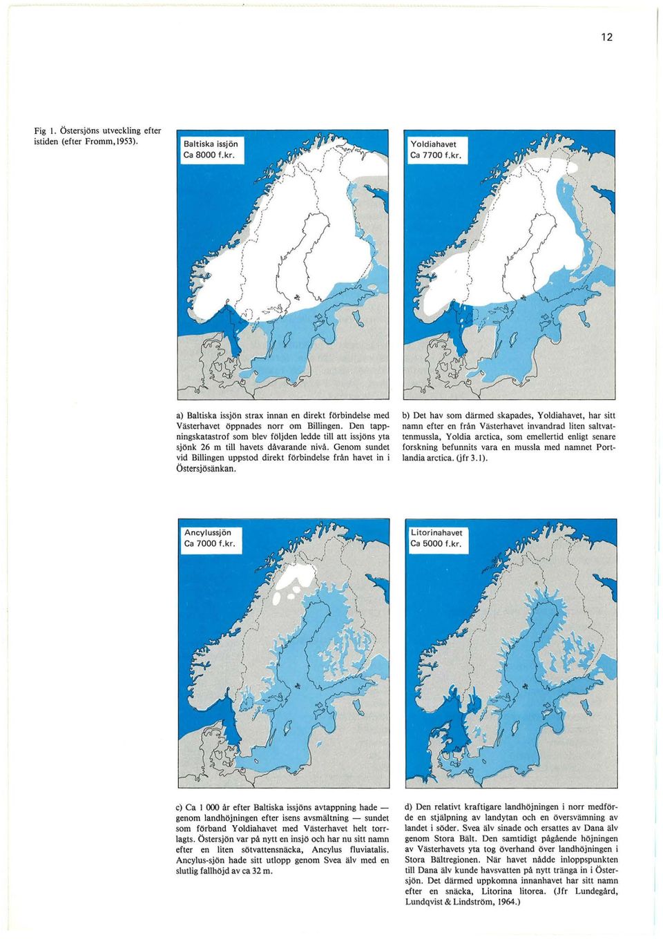 b) Det hav som därmed skapades, Yoldiahavet, har sitt namn efter en från Västerhavet invandrad liten saltvattenmussla, Yoldia arctica, som emellertid enligt senare fors kning befunnits vara en mussla