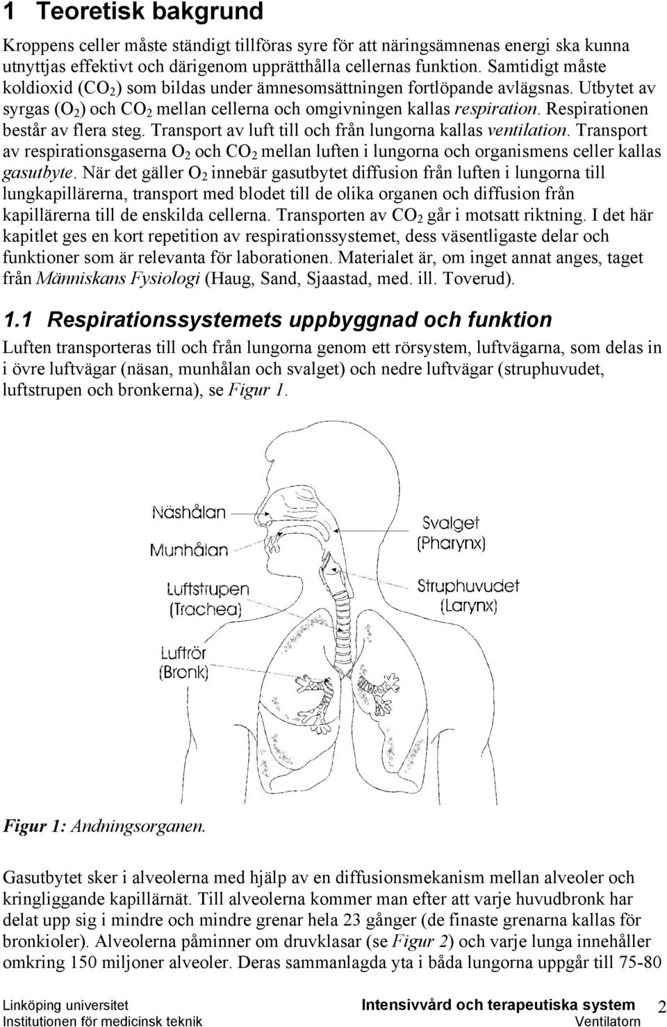 Respirationen består av flera steg. Transport av luft till och från lungorna kallas ventilation.