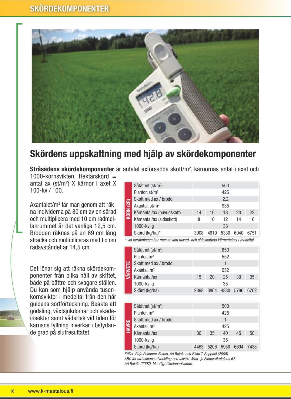 Axantalet/m 2 får man genom att räkna individerna på 80 cm av en sårad och multiplicera med 10 om radmellanrummet är det vanliga 12,5 cm.