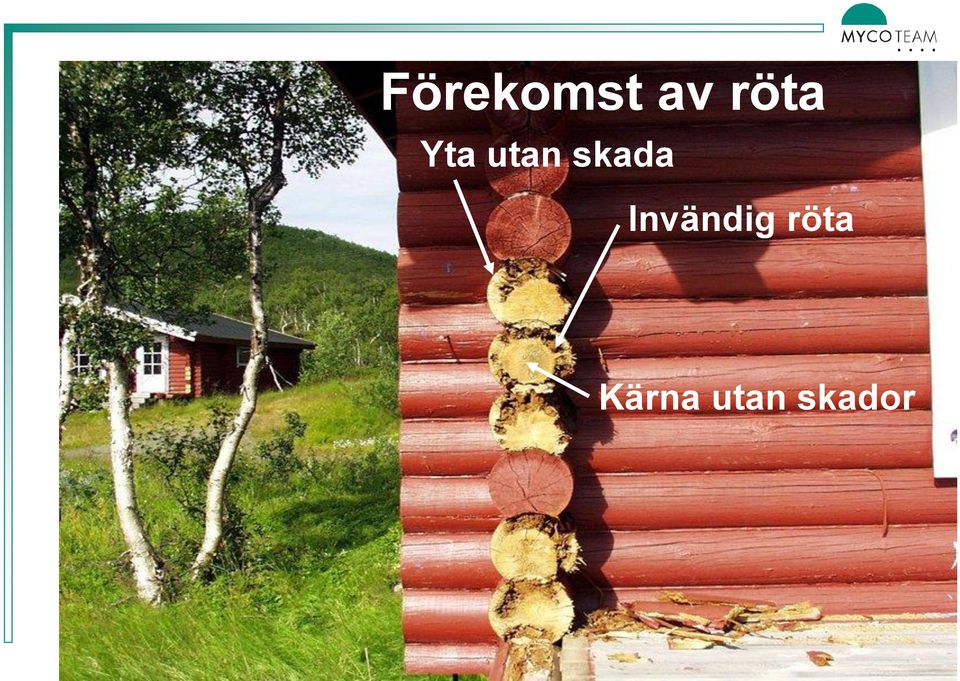 skada Invändig