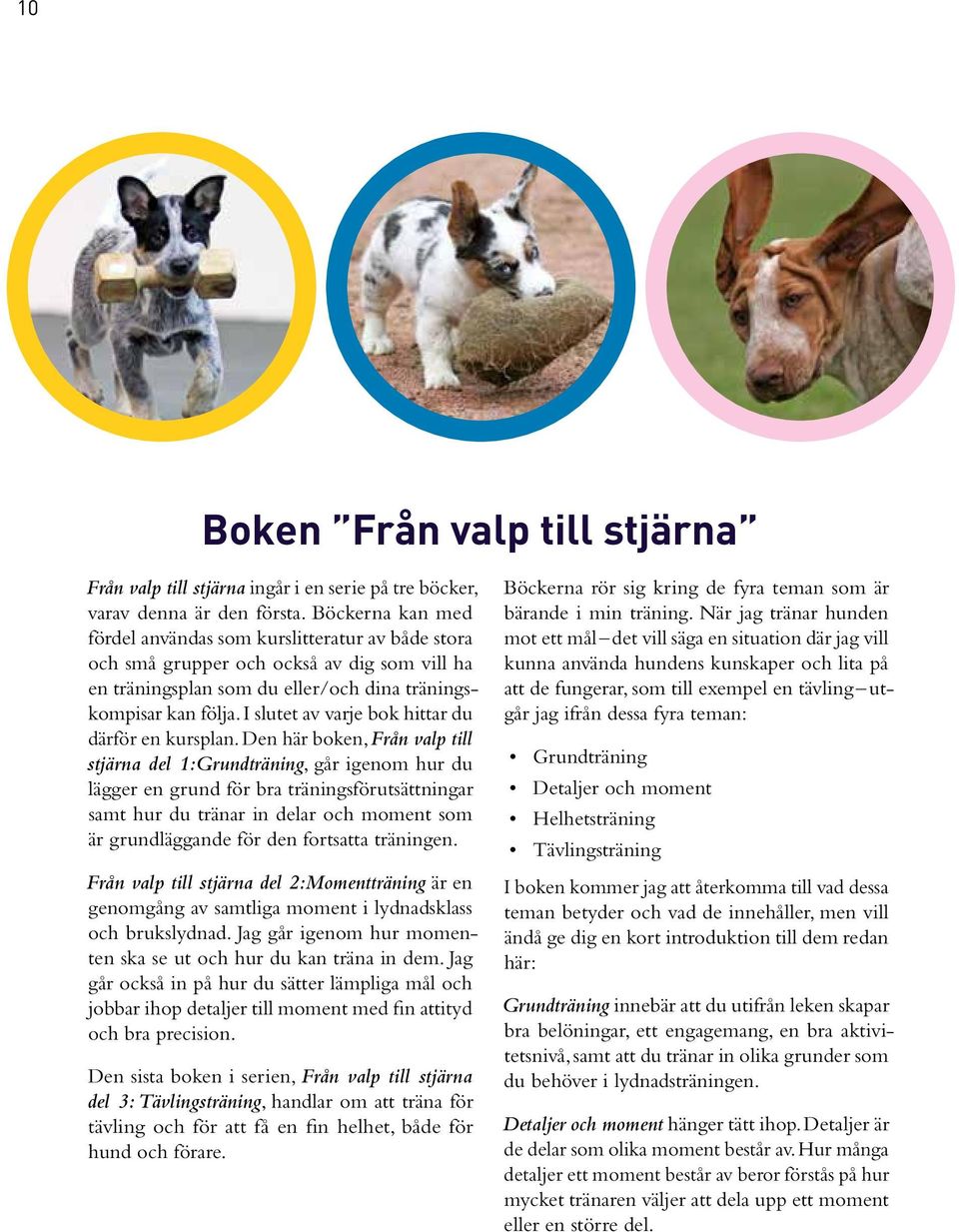 I slutet av varje bok hittar du därför en kursplan.