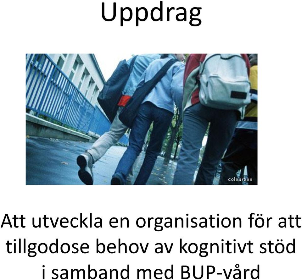 tillgodose behov av