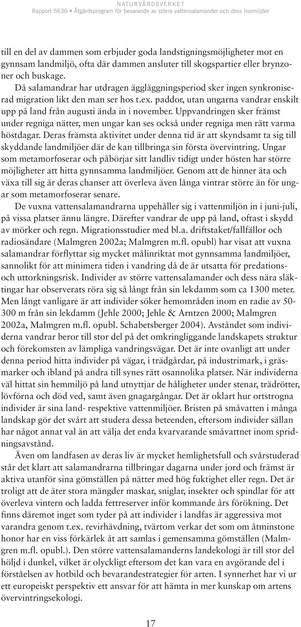 Uppvandringen sker främst under regniga nätter, men ungar kan ses också under regniga men rätt varma höstdagar.