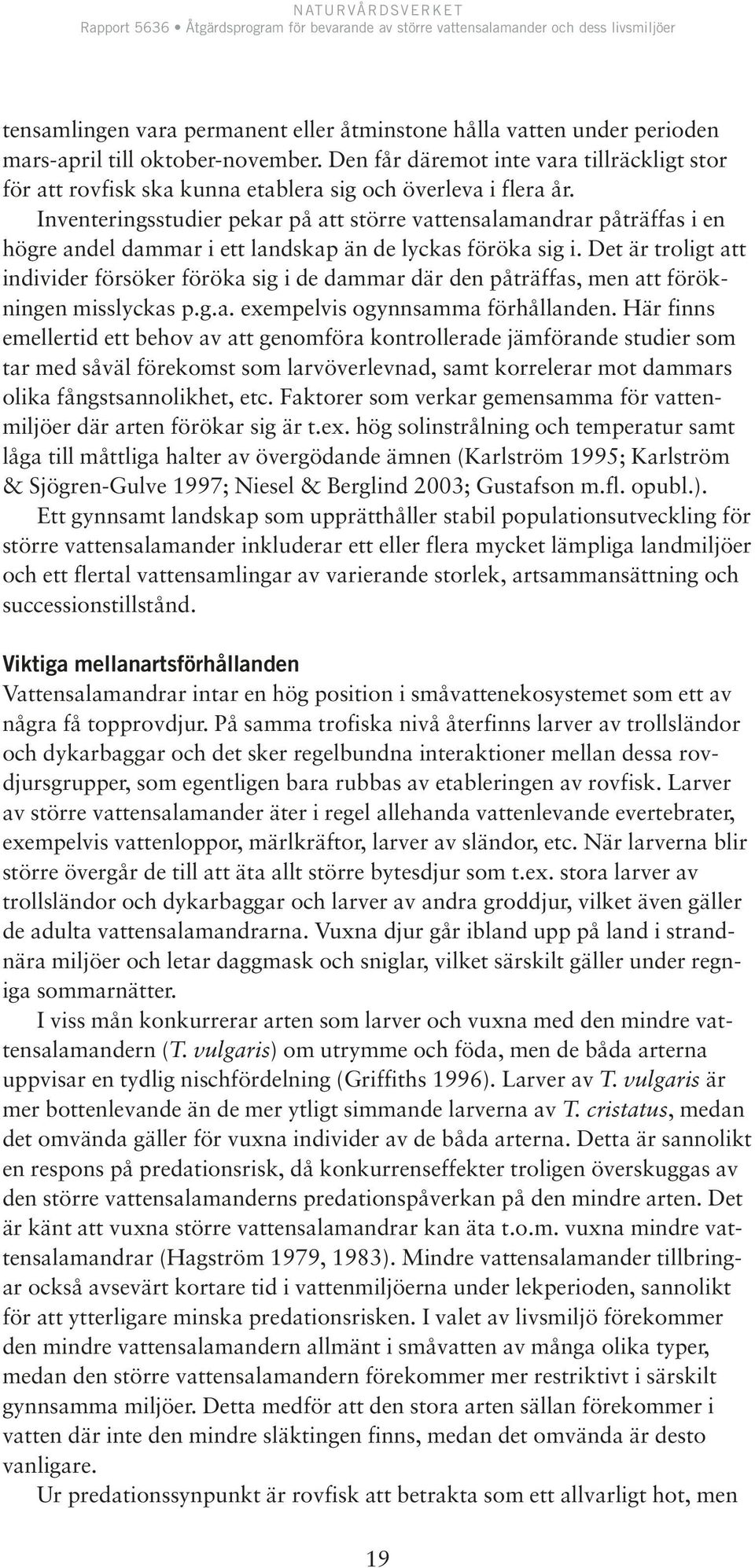 Inventeringsstudier pekar på att större vattensalamandrar påträffas i en högre andel dammar i ett landskap än de lyckas föröka sig i.