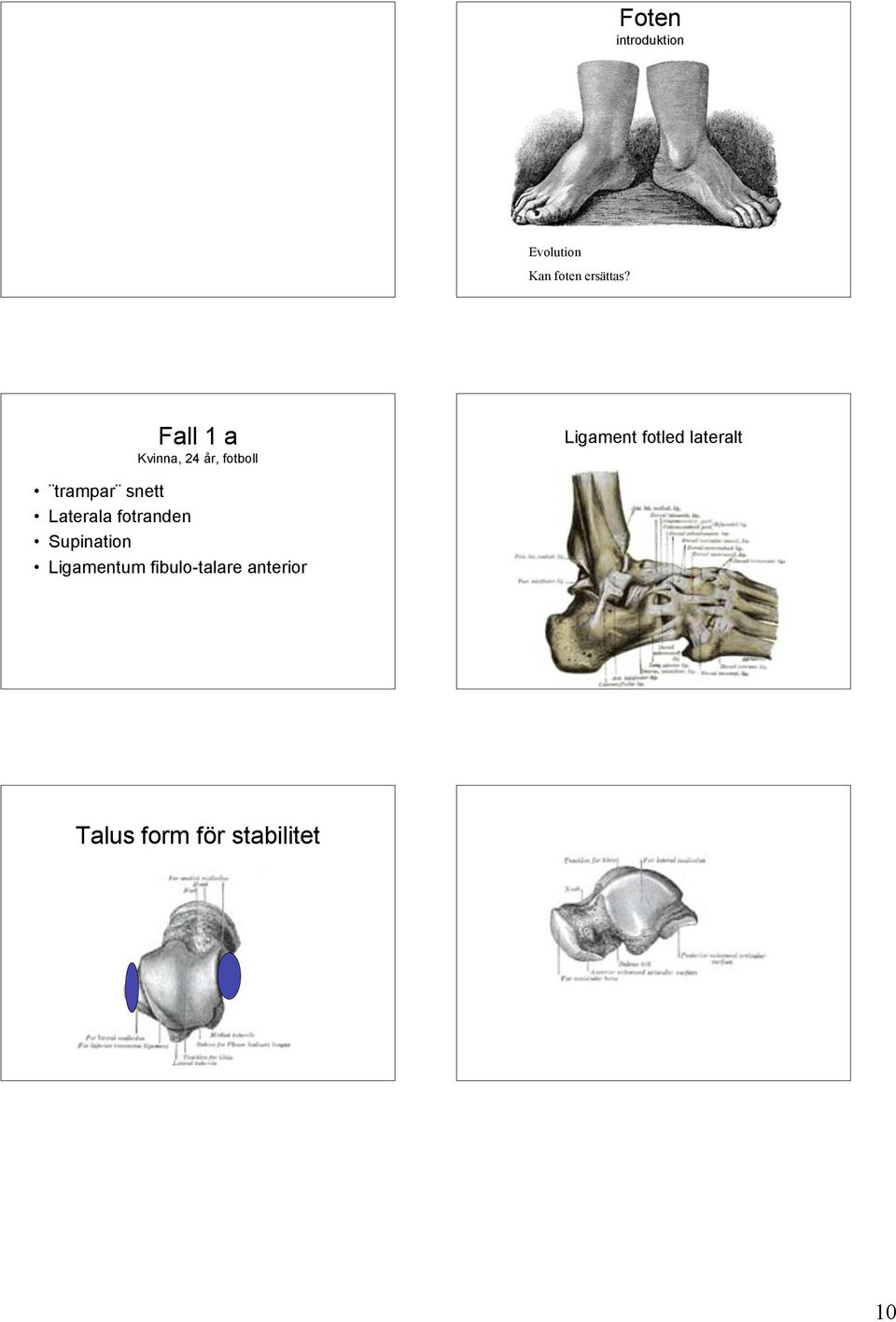 lateralt trampar snett Laterala fotranden Supination