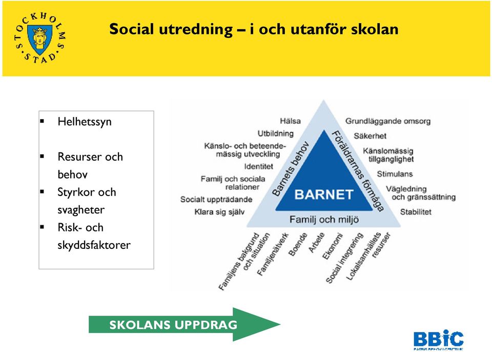 behov Styrkor och svagheter