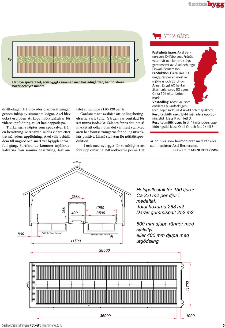 Merparten såldes vidare efter tre månaders uppfödning. Axel ville behålla dem till ungnöt och snart var byggplanerna i full gång.