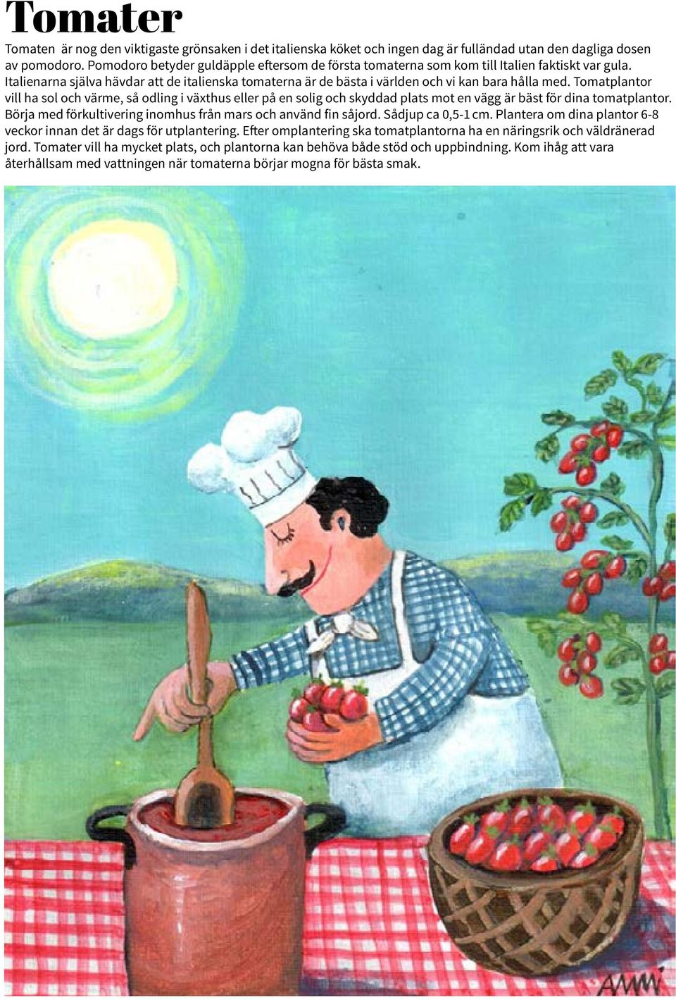 Tomatplantor vill ha sol och värme, så odling i växthus eller på en solig och skyddad plats mot en vägg är bäst för dina tomatplantor. Börja med förkultivering inomhus från mars och använd fin såjord.
