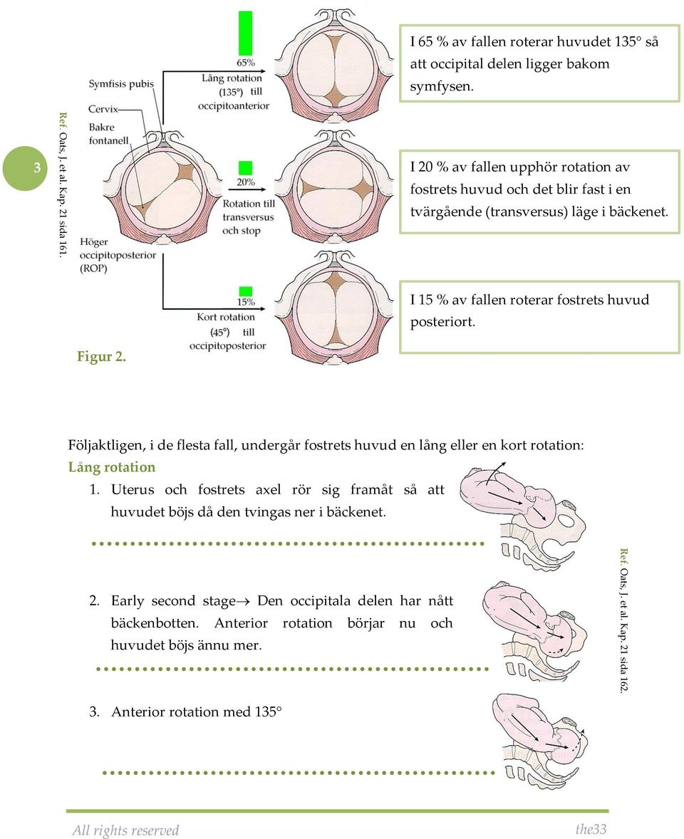 Figur 2. Följaktligen, i de flesta fall, undergår fostrets huvud en lång eller en kort rotation: Lång rotation 1.