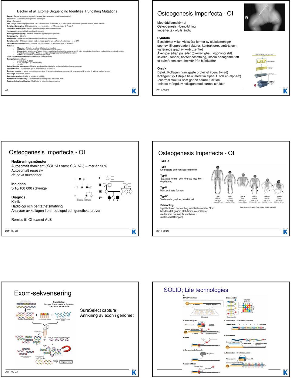 Genvariant SNP single nucleotide polymorphism.