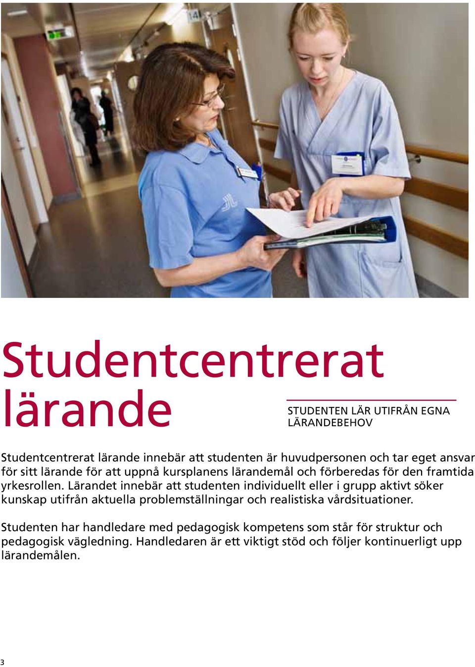 Lärandet innebär att studenten individuellt eller i grupp aktivt söker kunskap utifrån aktuella problemställningar och realistiska