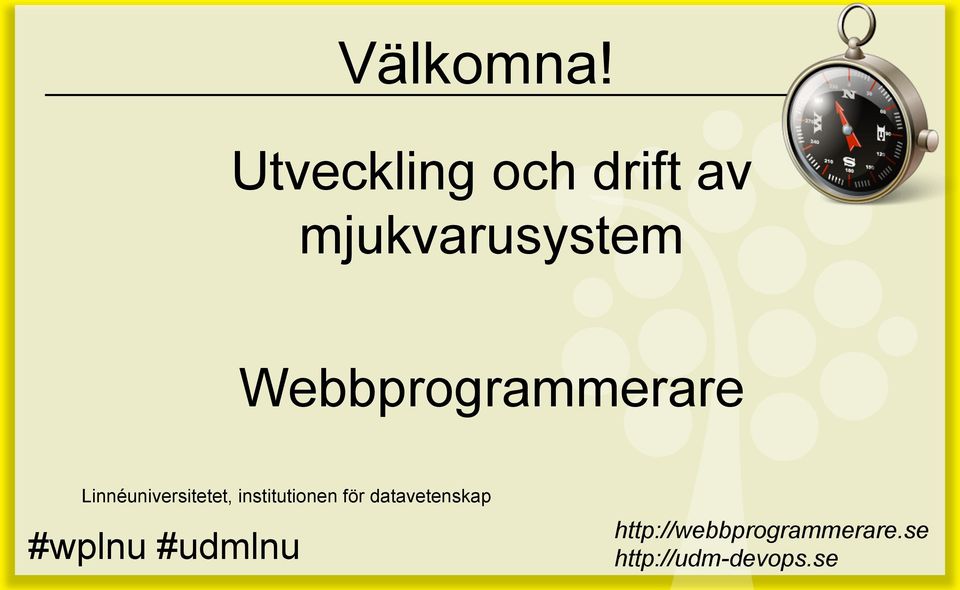 Webbprogrammerare Linnéuniversitetet,