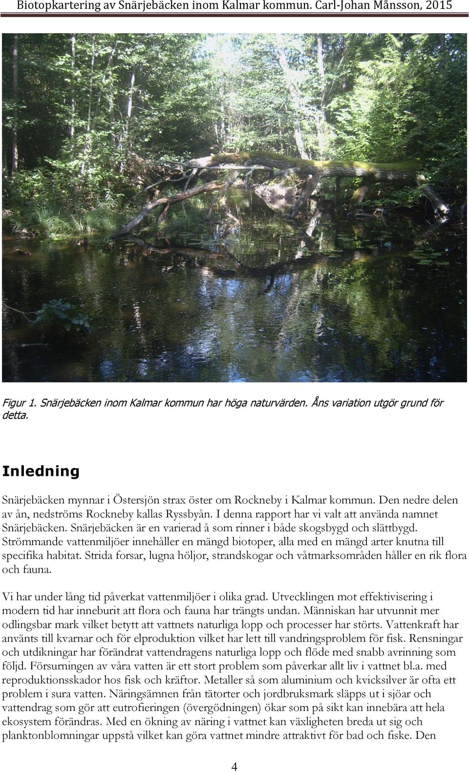 Strömmande vattenmiljöer innehåller en mängd biotoper, alla med en mängd arter knutna till specifika habitat.