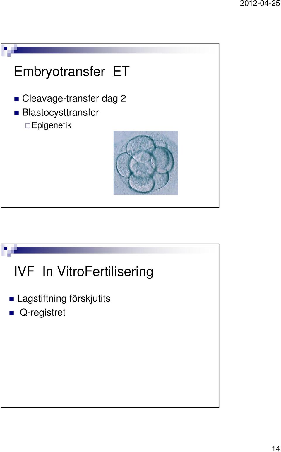 Blastocysttransfer Epigenetik IVF