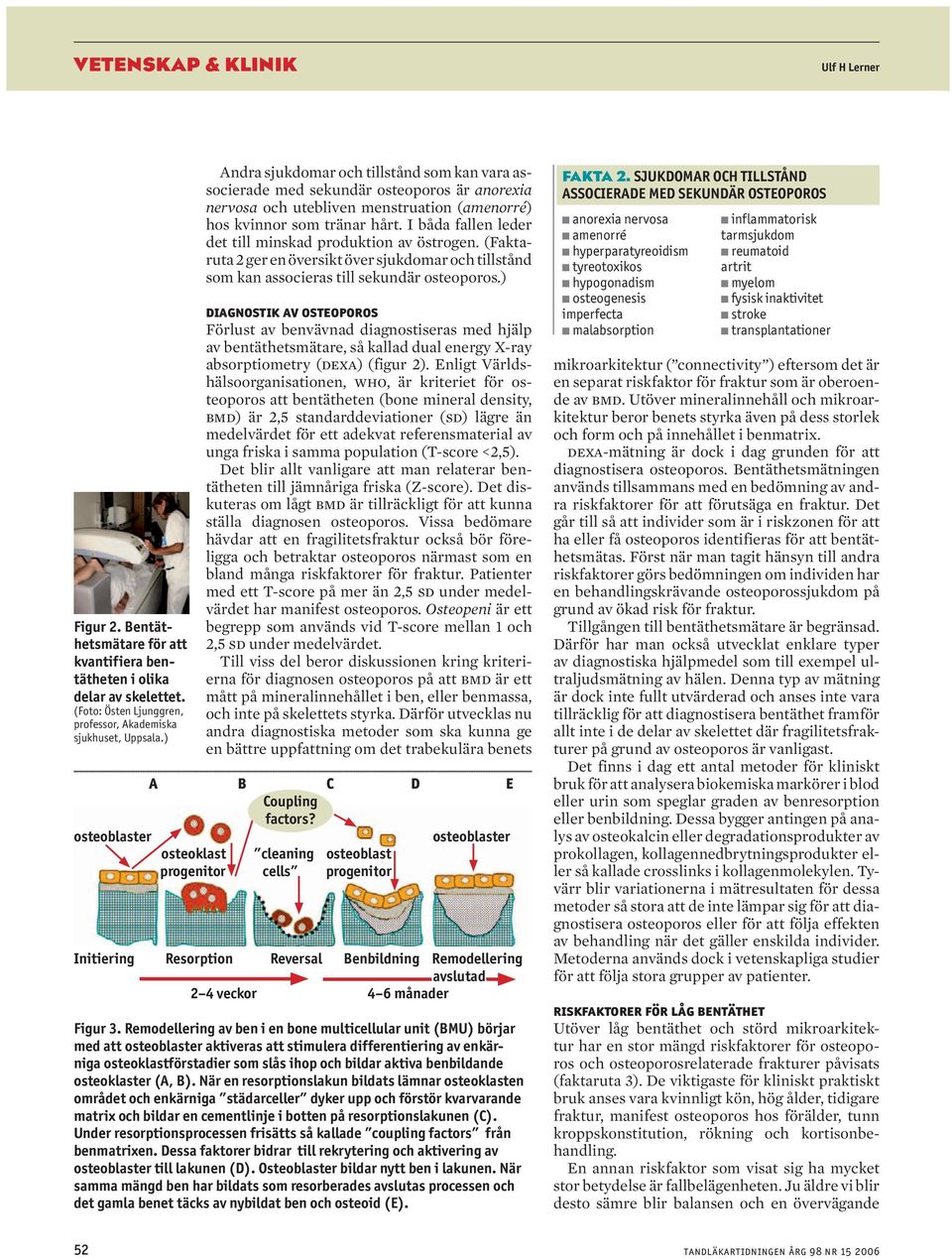 I båda fallen leder det till minskad produktion av östrogen. (Faktaruta 2 ger en översikt över sjukdomar och tillstånd som kan associeras till sekundär osteoporos.