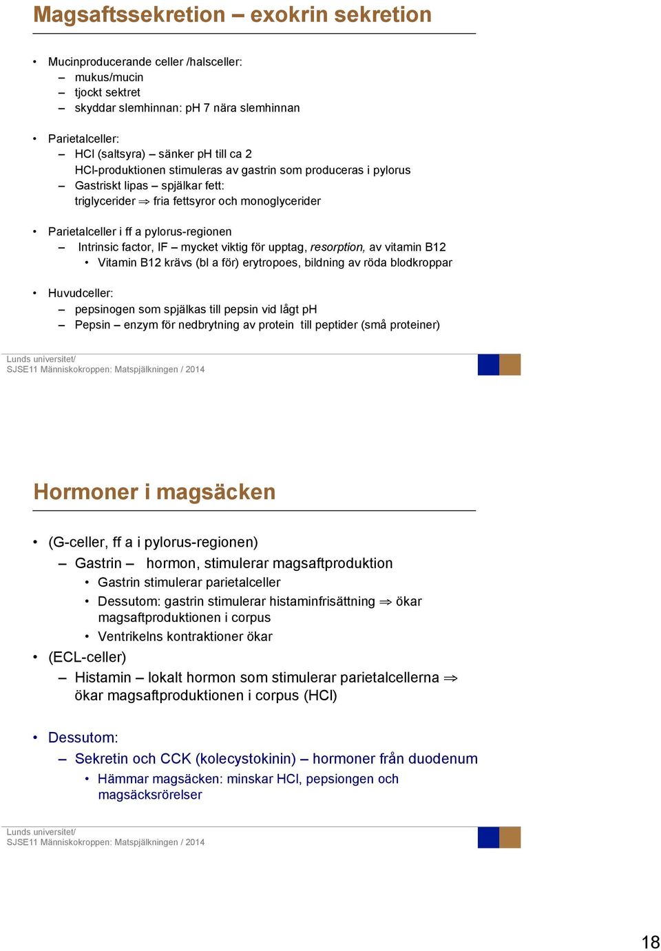 IF mycket viktig för upptag, resorption, av vitamin B12 Vitamin B12 krävs (bl a för) erytropoes, bildning av röda blodkroppar Huvudceller: pepsinogen som spjälkas till pepsin vid lågt ph Pepsin enzym