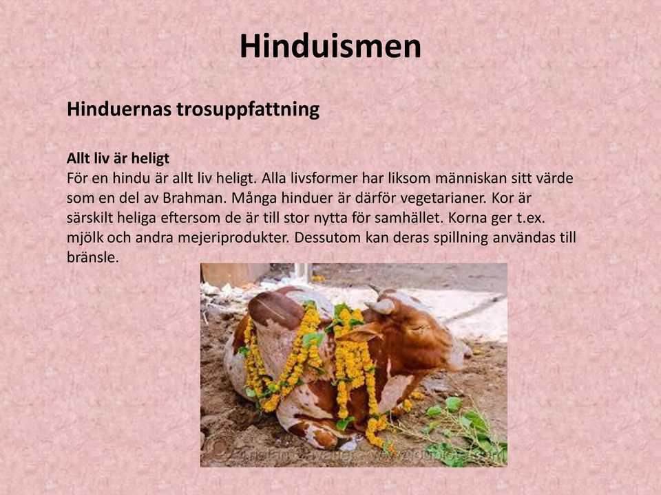 Många hinduer är därför vegetarianer.