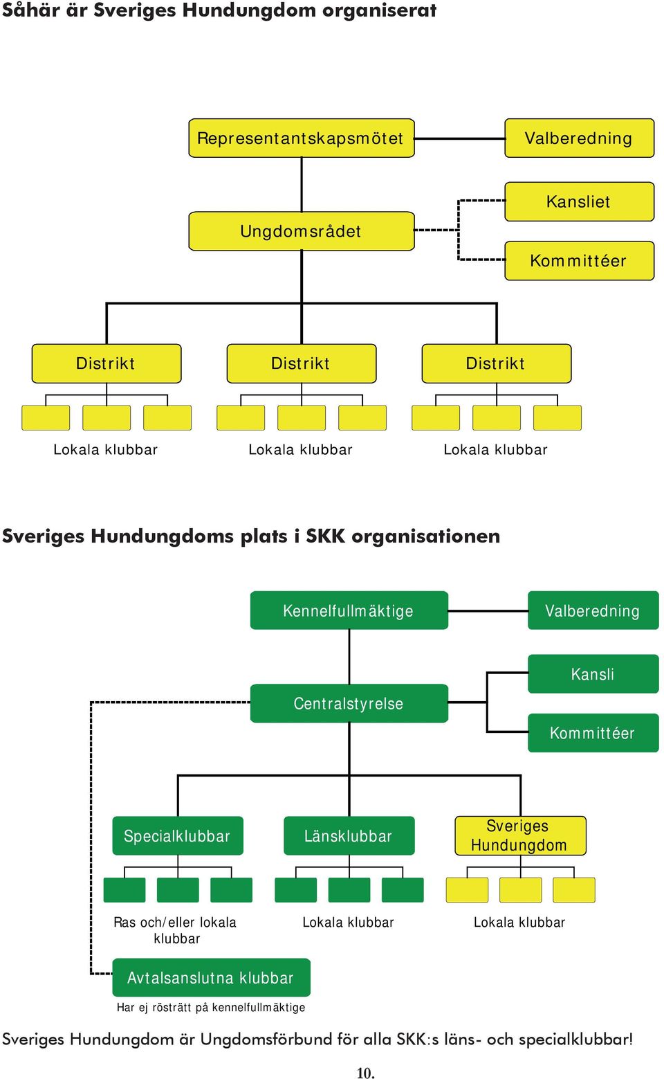 Kansli Centralstyrelse Kommittéer Specialklubbar Länsklubbar Sveriges Hundungdom Ras och/eller lokala klubbar Lokala klubbar Lokala