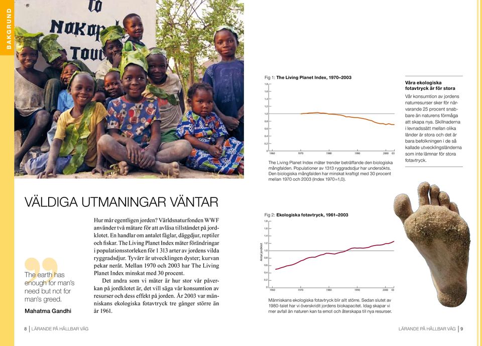 Den biologiska mångfalden har minskat kraftigt med 30 procent mellan 1970 och 2003 (Index 1970=1,0).