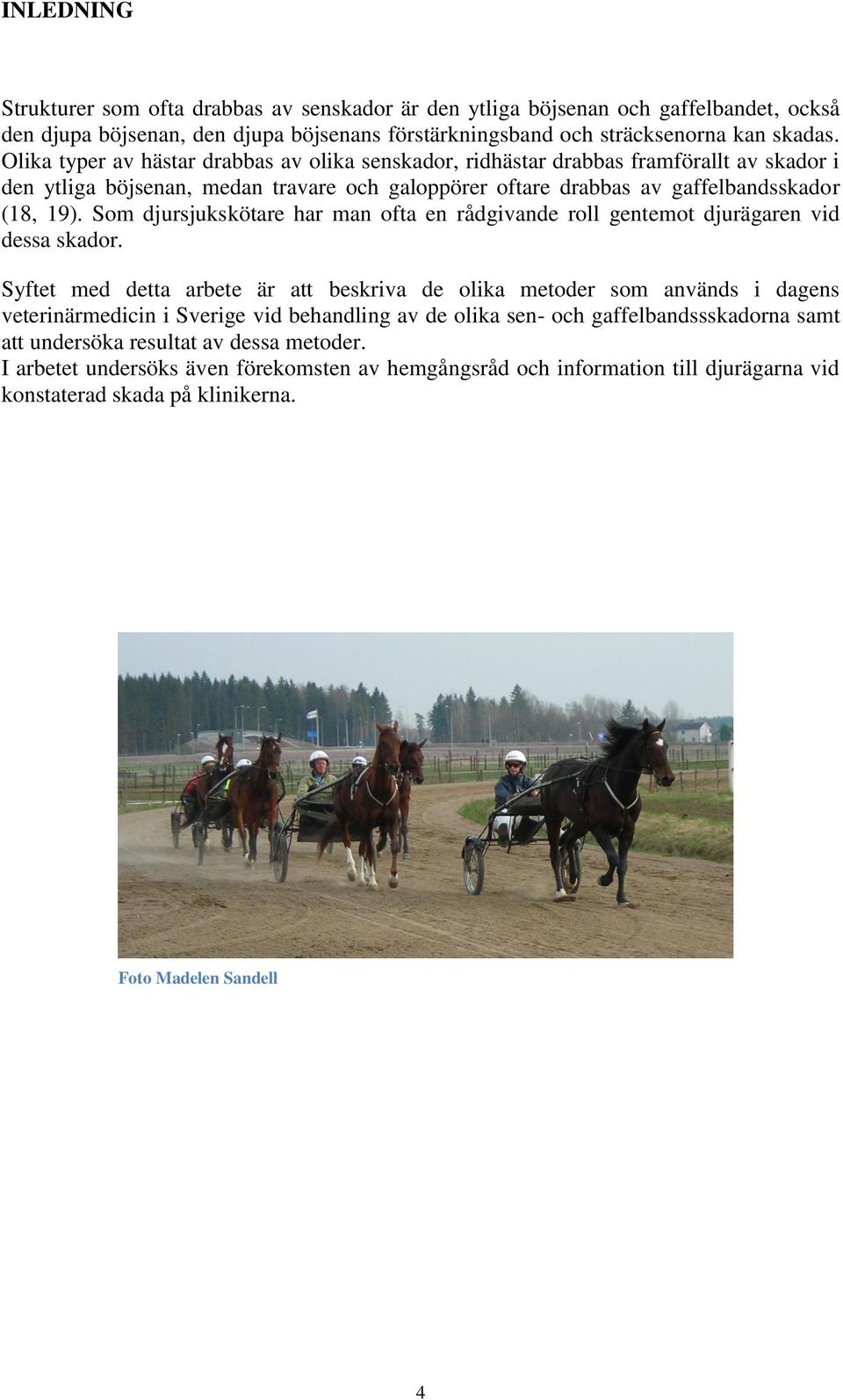 Som djursjukskötare har man ofta en rådgivande roll gentemot djurägaren vid dessa skador.
