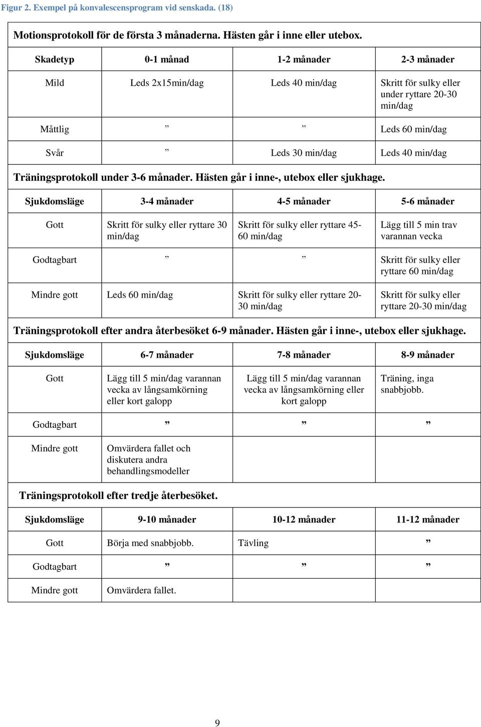 Träningsprotokoll under 3-6 månader. Hästen går i inne-, utebox eller sjukhage.