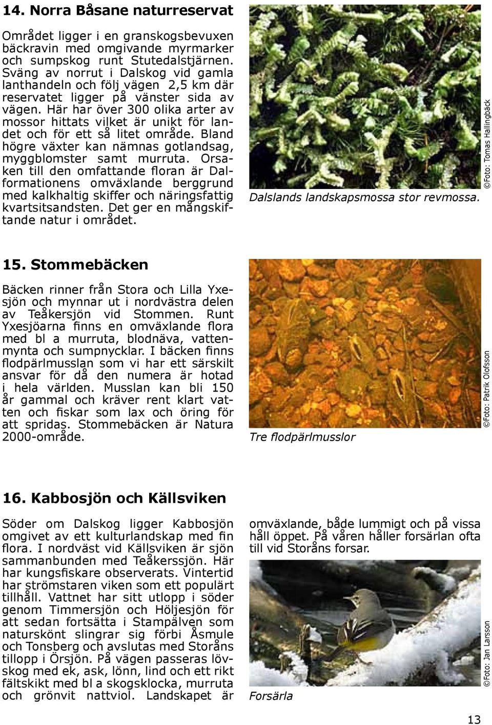 Här har över 300 olika arter av mossor hittats vilket är unikt för landet och för ett så litet område. Bland högre växter kan nämnas gotlandsag, myggblomster samt murruta.