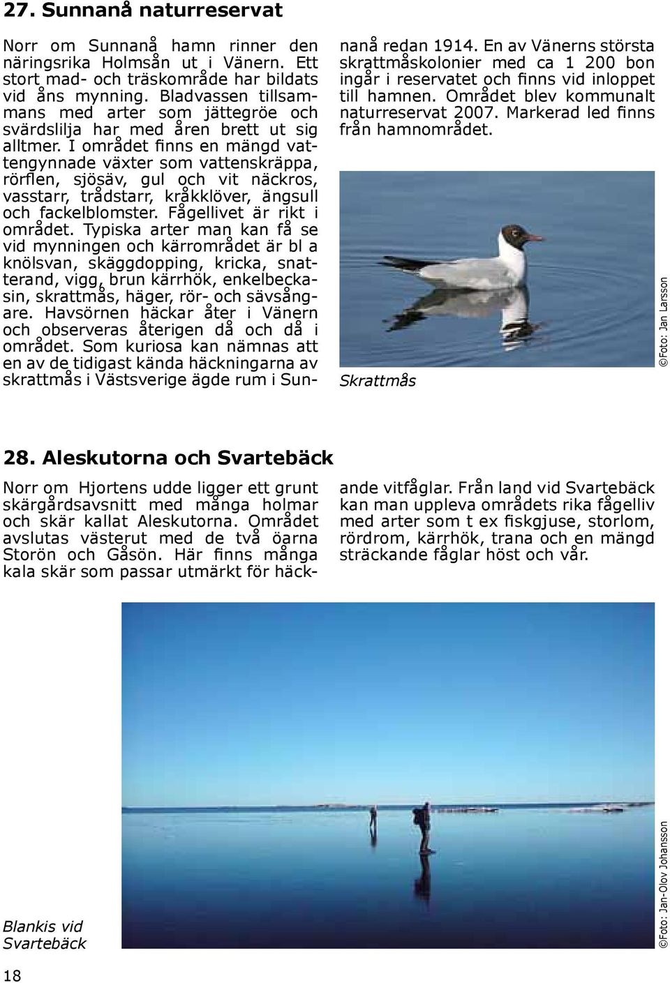 I området finns en mängd vattengynnade växter som vattenskräppa, rörflen, sjösäv, gul och vit näckros, vasstarr, trådstarr, kråkklöver, ängsull och fackelblomster. Fågellivet är rikt i området.