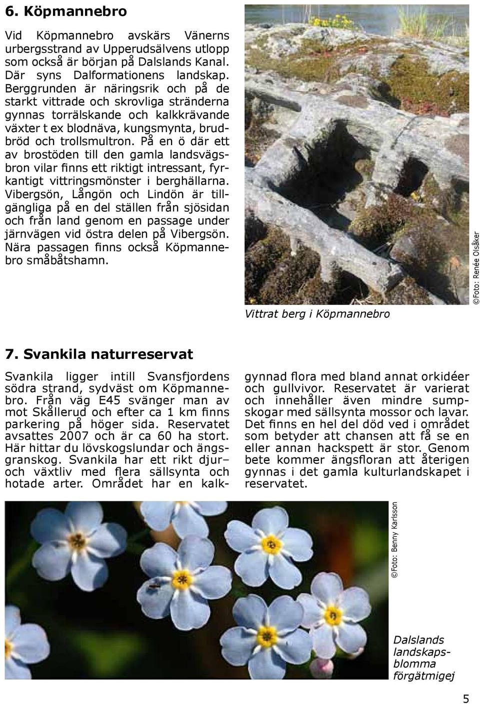 På en ö där ett av brostöden till den gamla landsvägsbron vilar finns ett riktigt intressant, fyrkantigt vittringsmönster i berghällarna.