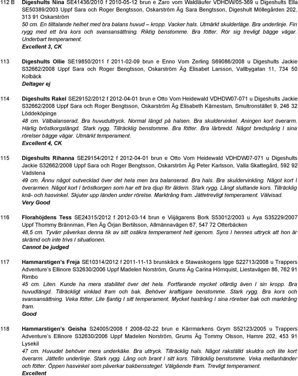 Riktig benstomme. Bra fötter. Rör sig trevligt bägge vägar. Underbart temperament.