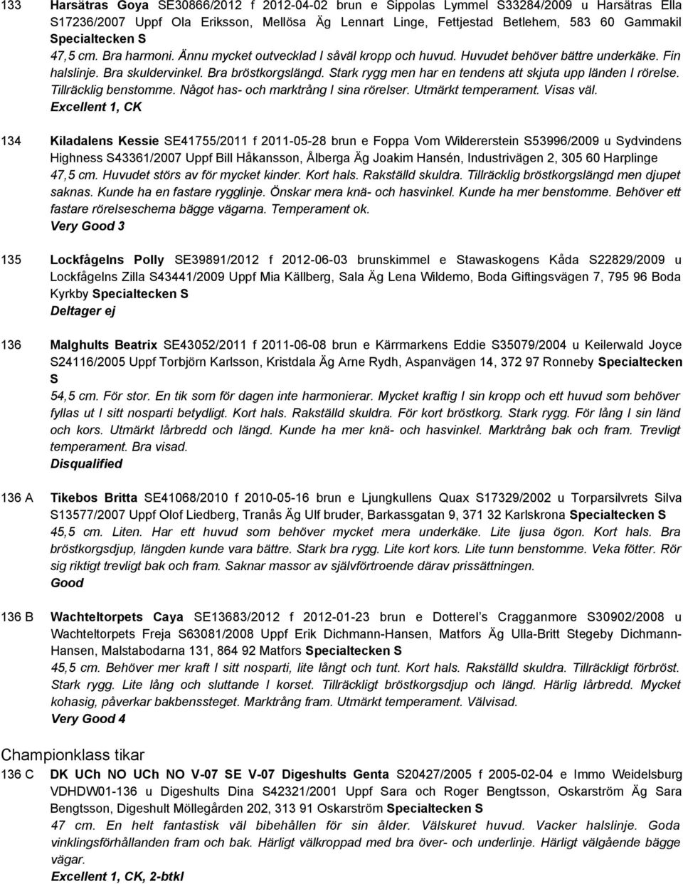 Stark rygg men har en tendens att skjuta upp länden I rörelse. Tillräcklig benstomme. Något has- och marktrång I sina rörelser. Utmärkt temperament. Visas väl.